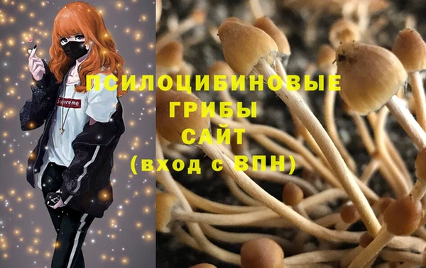 прущая мука Армянск