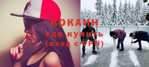 молекула духа Семёнов